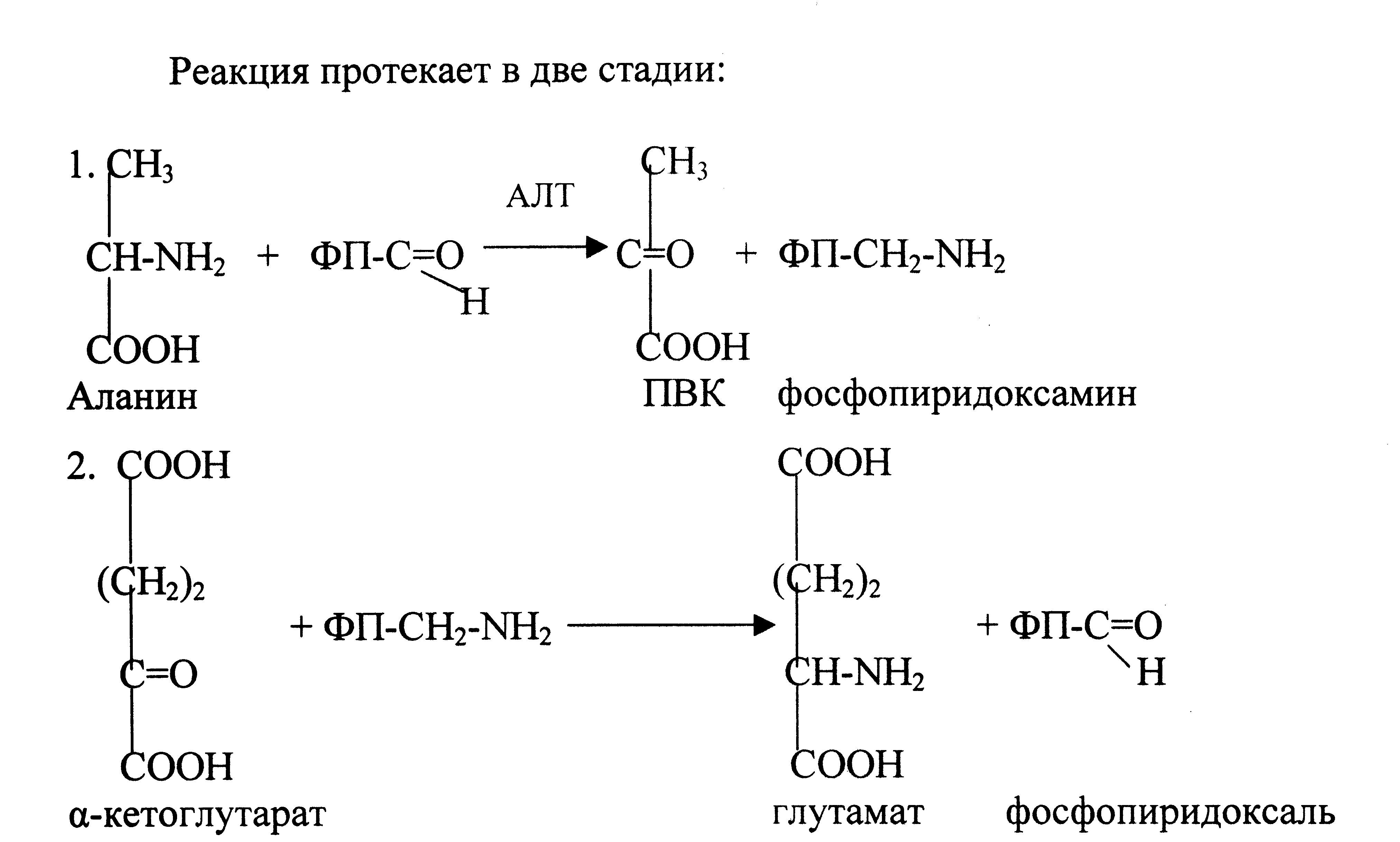 Аланин трансаминаза. Аланинаминотрансфераза катализирует реакцию. Схема реакции катализируемой алт. Аланин аспартат аминотрансферазы. Реакции катализируемые алт и АСТ.