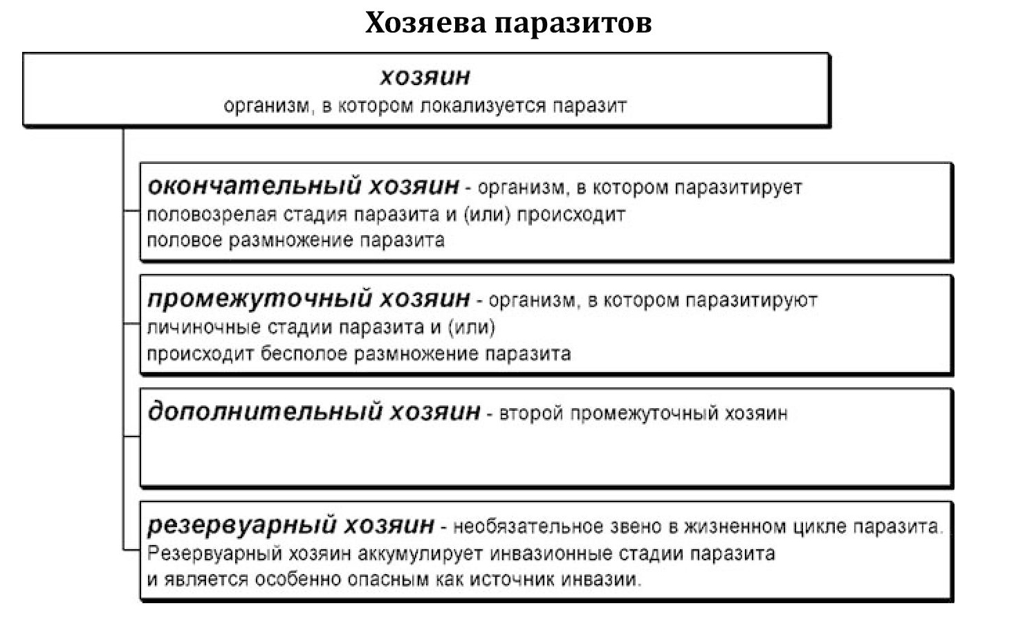 Основной собственник. Основные, резервуарные и промежуточные хозяева.. Классификация хозяев паразитов. Промежуточный окончательный и резервуарный хозяин паразитов примеры. Понятие о паразите и хозяине.