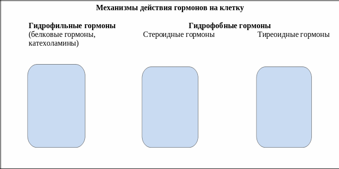 Frame3