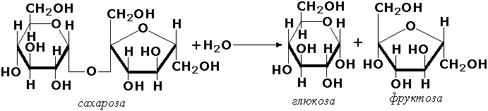 И глюкоза и фруктоза реагируют с. Гидролиз сахарозы до Глюкозы и фруктозы. Реакция гидролиза сахарозы формула. Гидролиз сахарозы уравнение реакции. Гидролиз сахарозы формула.