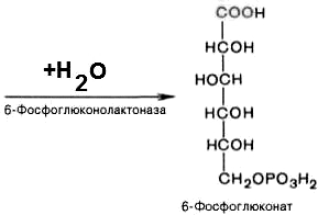 Цикл кори биохимия формула