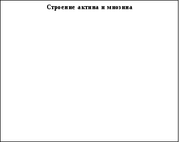 Frame24