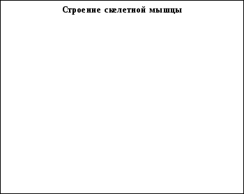 Frame23