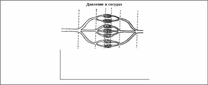 Frame8