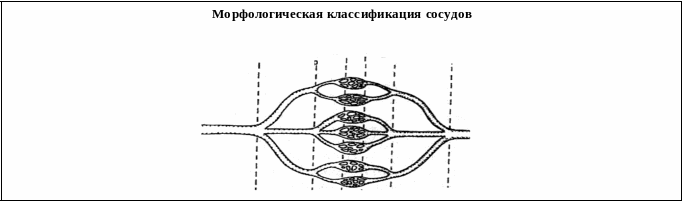 Frame1