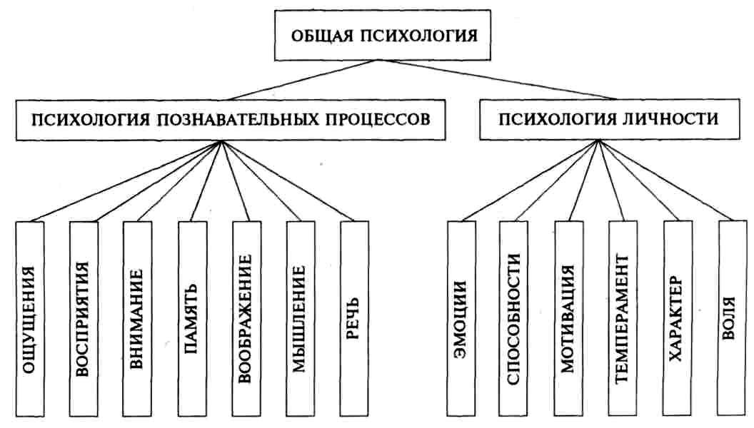 Отрасли психологии схема