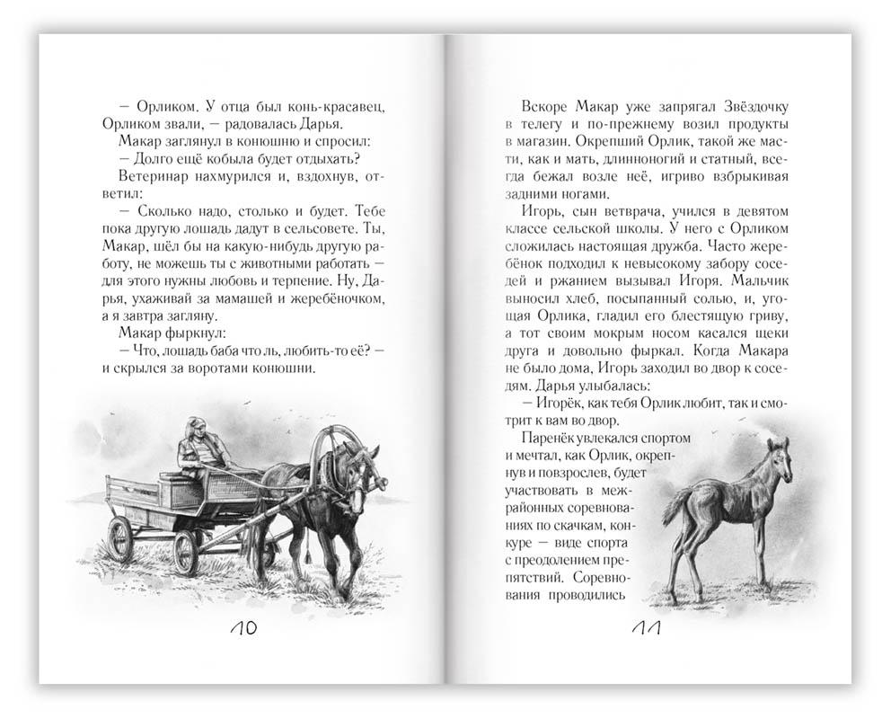 Глава 5 Оформление книг