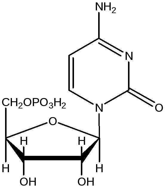 Цитидиловый нуклеотид содержит