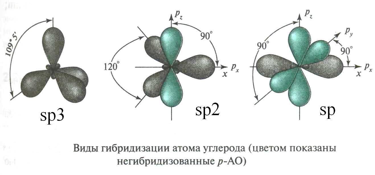 Строение тип гибридизации. Гибридизация орбиталей атома углерода. Схема sp3 гибридизации углерода. Типы гибридизации атома углерода. 2. Гибридизация электронных орбиталей (SP-; sp2- и sp3- гибридизации).