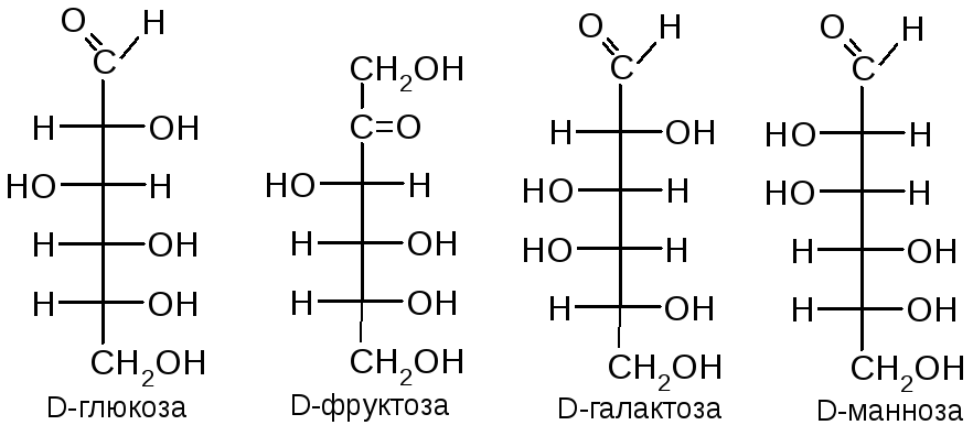 К моносахаридам относятся фруктоза