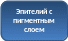 Скругленный прямоугольник 6