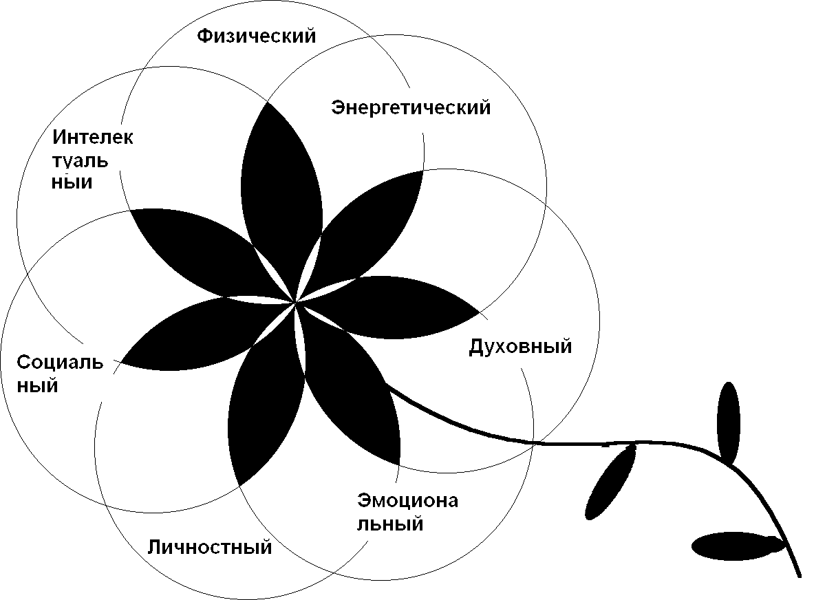 Культура здоровья. Понятие о культуре здоровья и ее составляющих. Системонаполняющие факторы культуры здоровья. Рисунок культура и её состовляющие.