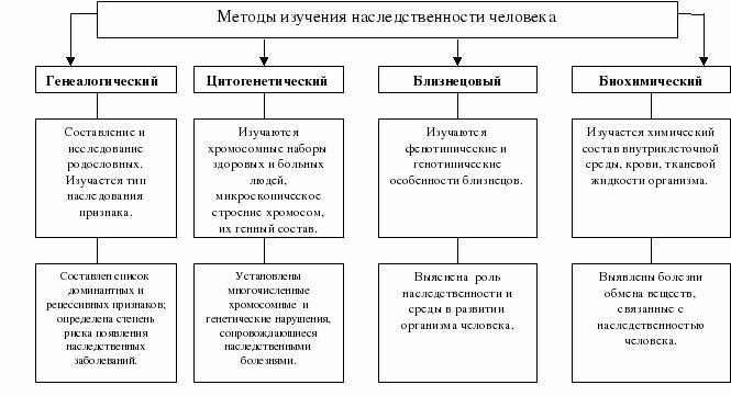 Современные методы изучения биологических объектов