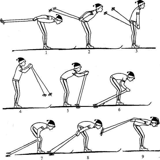 Как называется лыжный ход представленный на рисунке