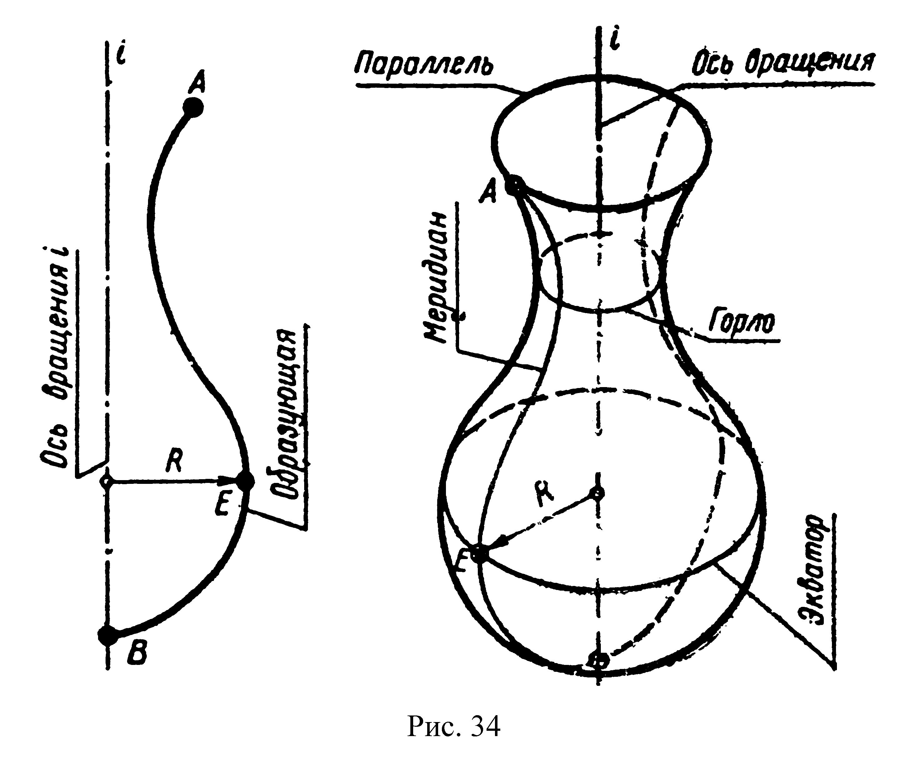 Экватором поверхности вращения показанной на чертеже является линия