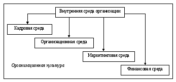 Роль организационной среды. Техническая среда. Элементы внутренней среды организации менеджмент. Внешнее окружение фирмы. Роль организационной среды.