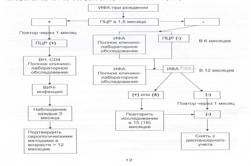 Диагностика вич инфекции осуществляется методом. Схема диагностики ВИЧ инфекции. Схема диагностики ВИЧ инфекции микробиология. Диагностика ВИЧ инфекции вирусологический метод. Лабораторная диагностика ВИЧ инфекции схема микробиология.