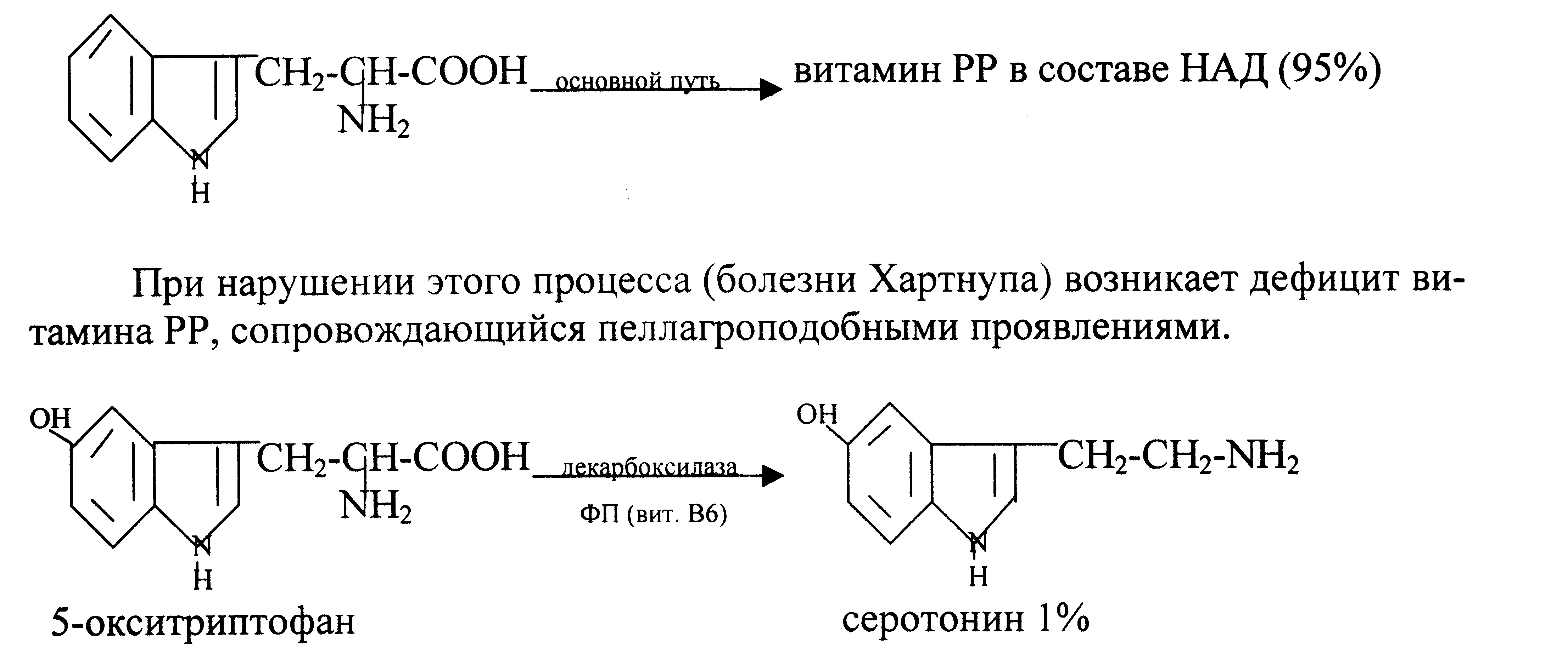 2.4. Особенности обмена отдельных аминокислот (глицин, метионин ...