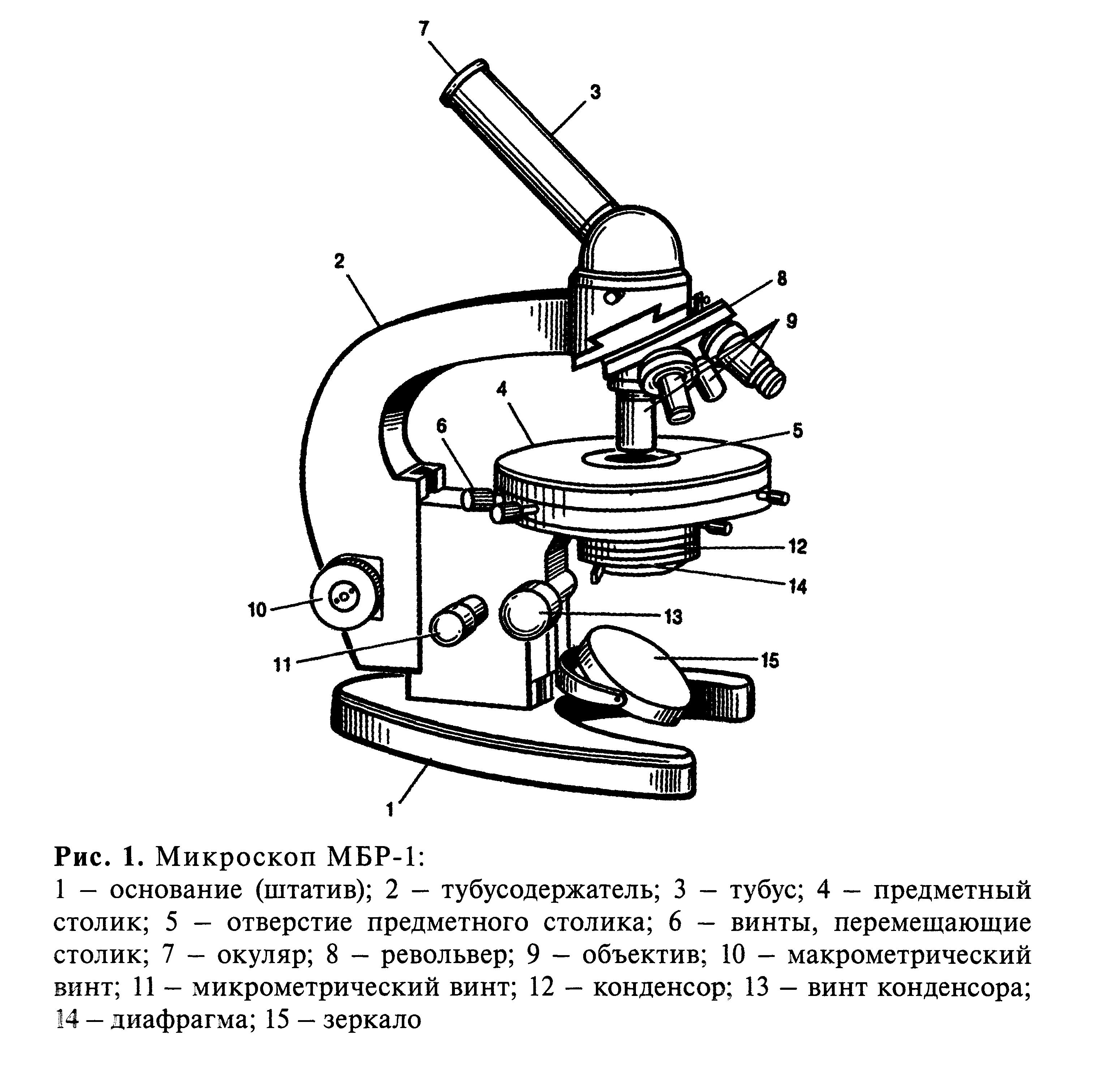 Микроскоп название частей биология 5 класс. Схема светового микроскопа МБР-1. Световой микроскоп Биолам строение. Строение микроскопа Микмед. Микроскоп МБР-1 рисунок строение.