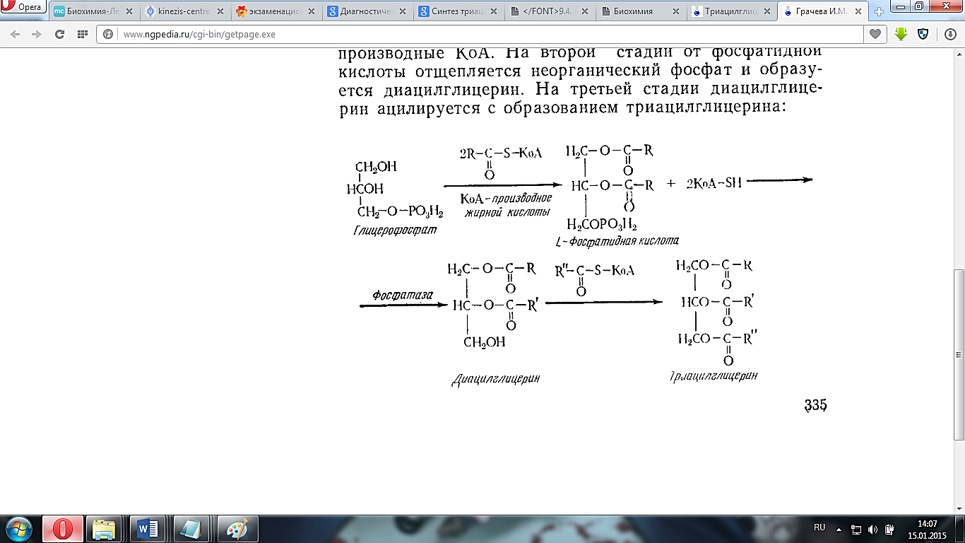 Синтез жиров происходит. Синтез жира из глицерол-3-фосфата. Образование глицерол 3 фосфата. Синтез фосфатидной кислоты биохимия. Восстановление дигидроксиацетонфосфата.