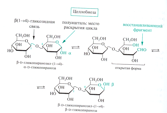 Реакция окисления бромной водой. Реакция окисления Целлобиозы. Получение целлобионовой кислоты. Целлобиоза и реактив Толленса. D целлобиоза br2 реакция.