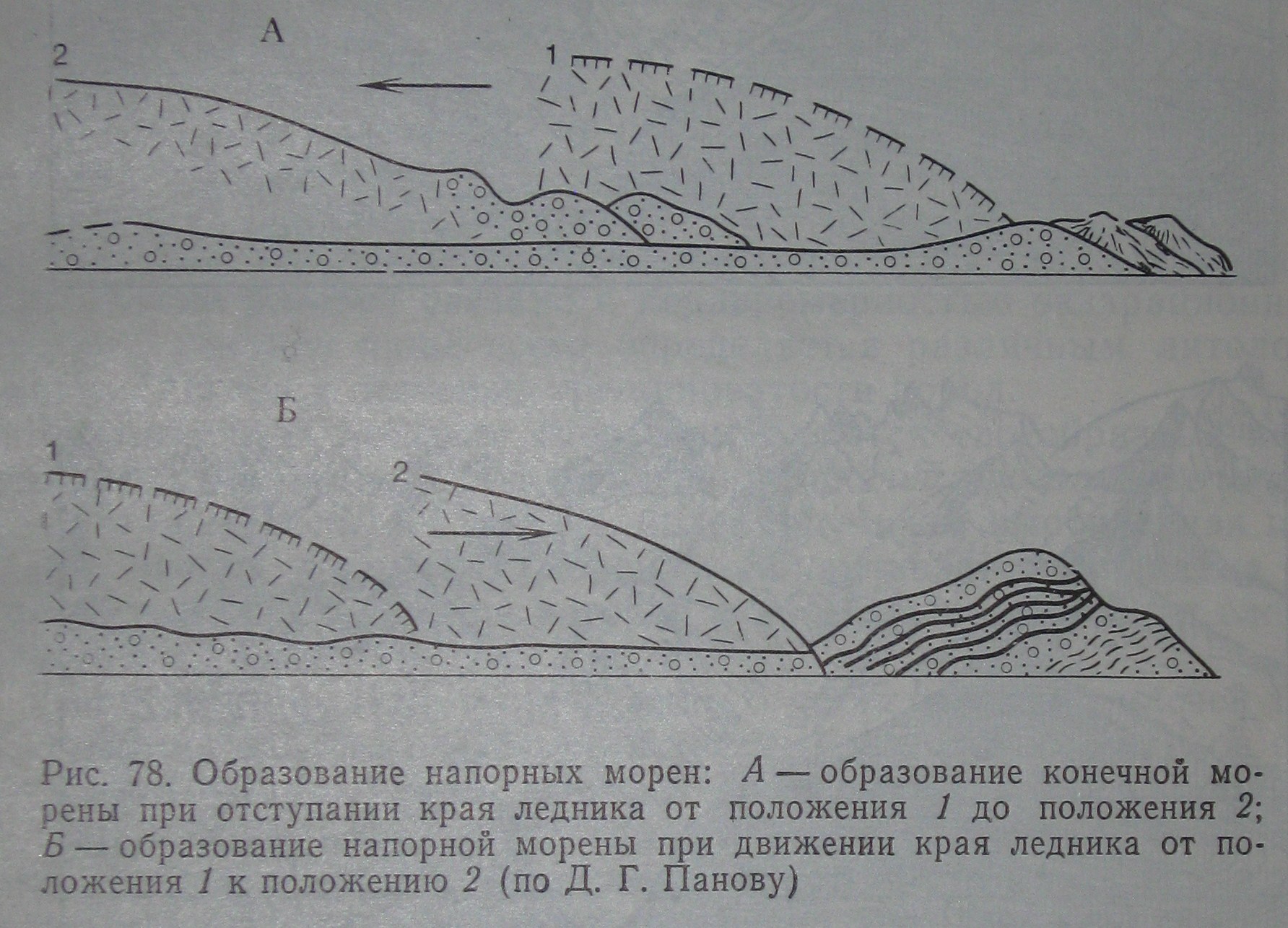 Какой природный процесс отображен на схеме снеговая линия фирновый бассейн