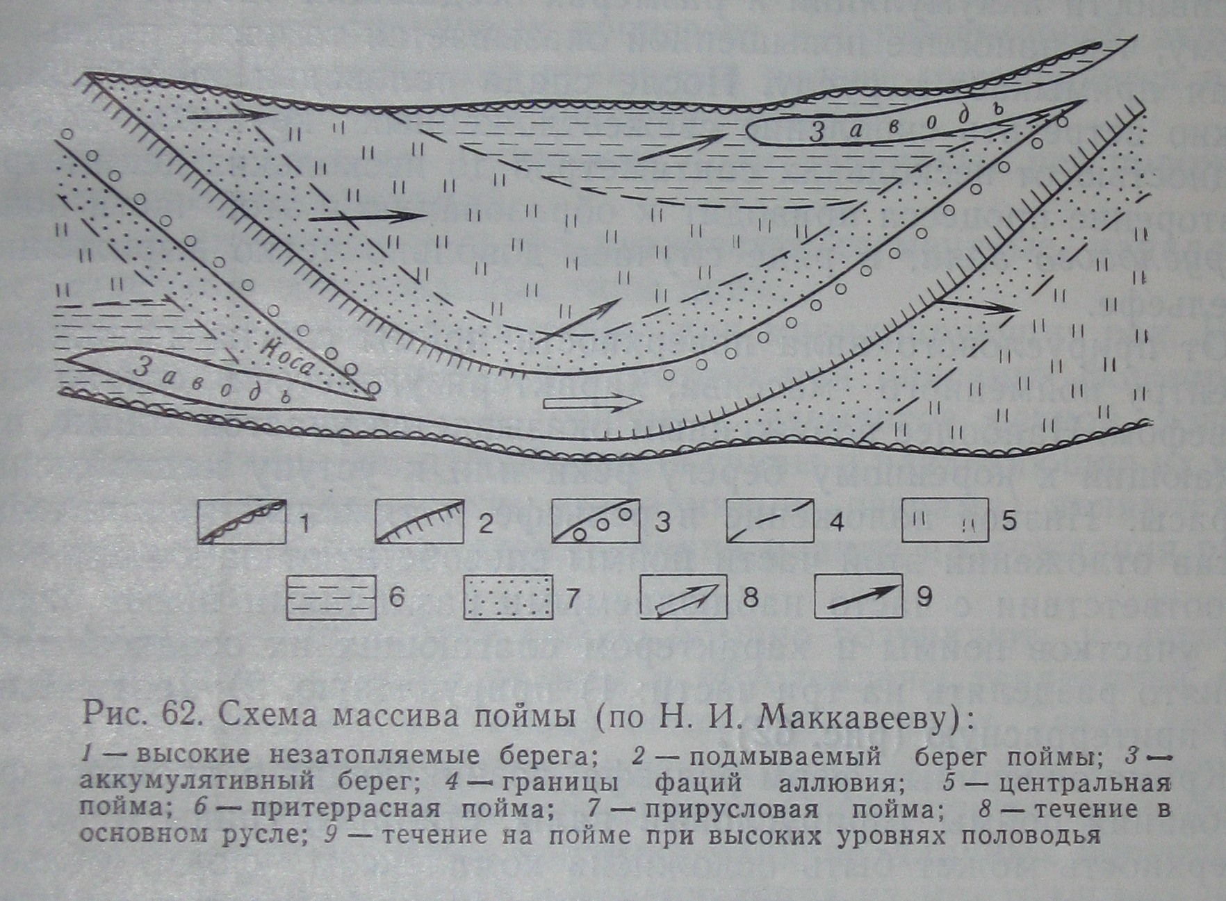 Пойма это простыми словами. Структура Речной Поймы. Строение Речной Поймы геоморфология. Строение Речной Поймы схема. Строение Поймы реки.