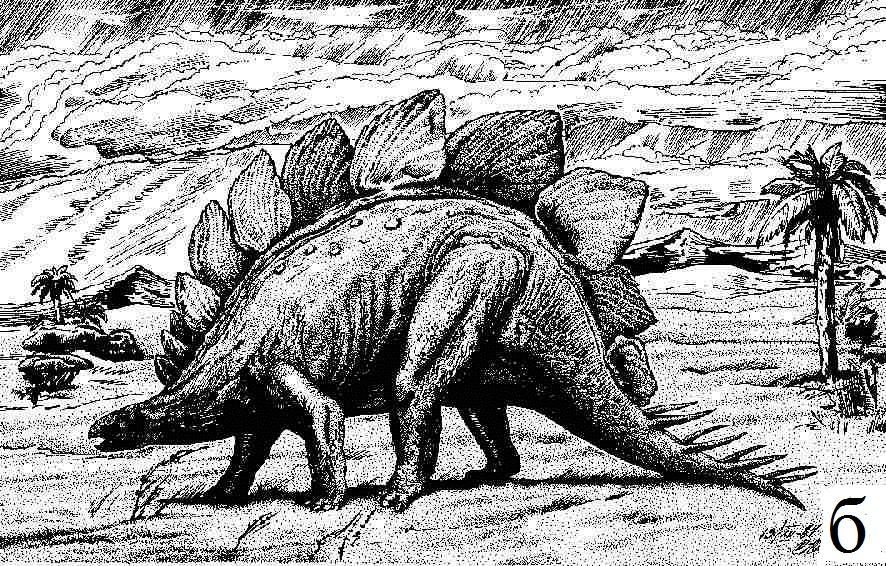 Помнишь мезозойскую. Стегозавры в мезозойскую эру. Мезозойская Эра котилозавр. Стегозавр скелет. Стегозавр пресмыкающийся.