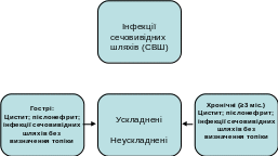 Organization Chart 4