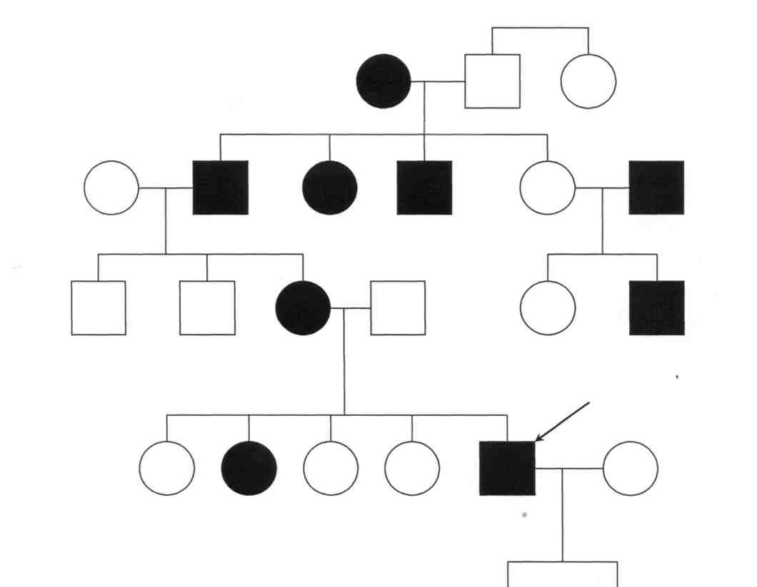 Пробанд страдает ночной слепотой. Решетка пробанда. Пробанд Сибс генеалогическое Древо по хроническим заболеваниям. Родовид. Как рисовать пробанда.