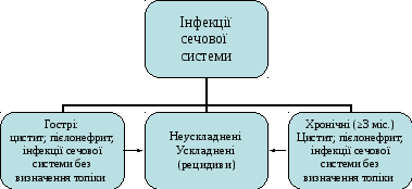 Organization Chart 6