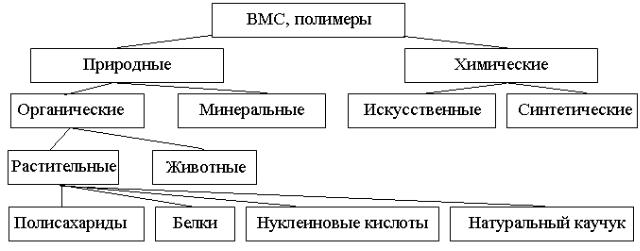 Заполните схему классификации высокомолекулярных соединений