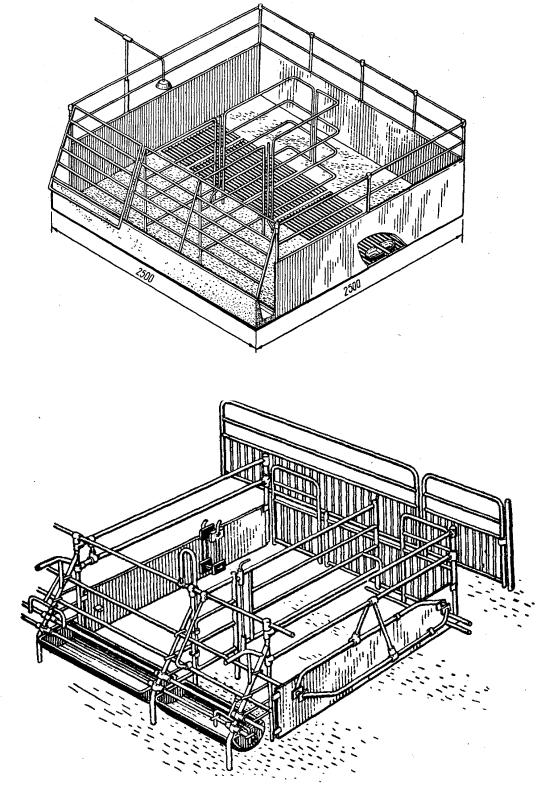 Как построить свинарник. Чертёж станка вьетнамской свинье. Свинарник Размеры. Свинарник чертеж. Стенд для свиноматки.