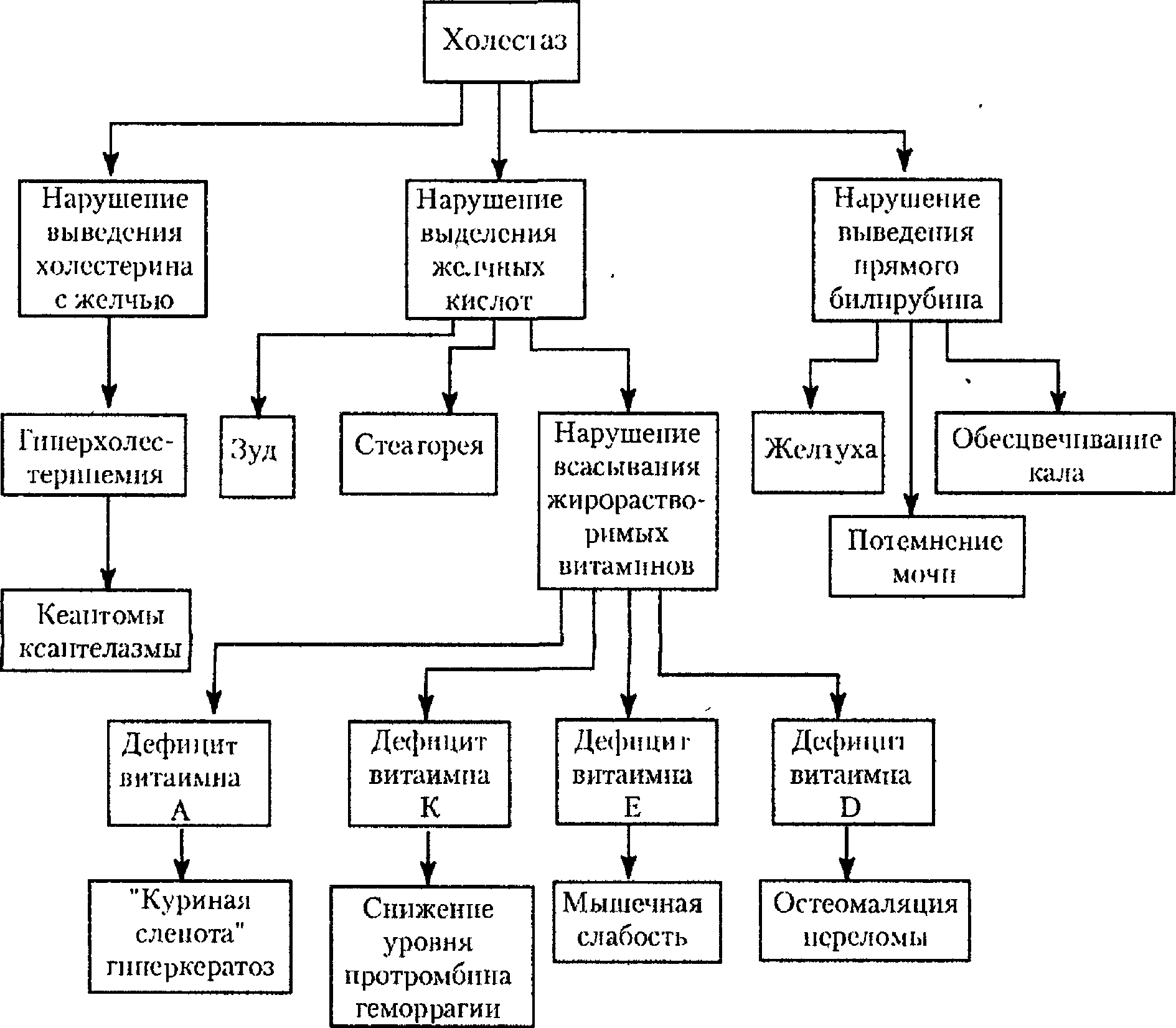 Холестатический синдром патогенез