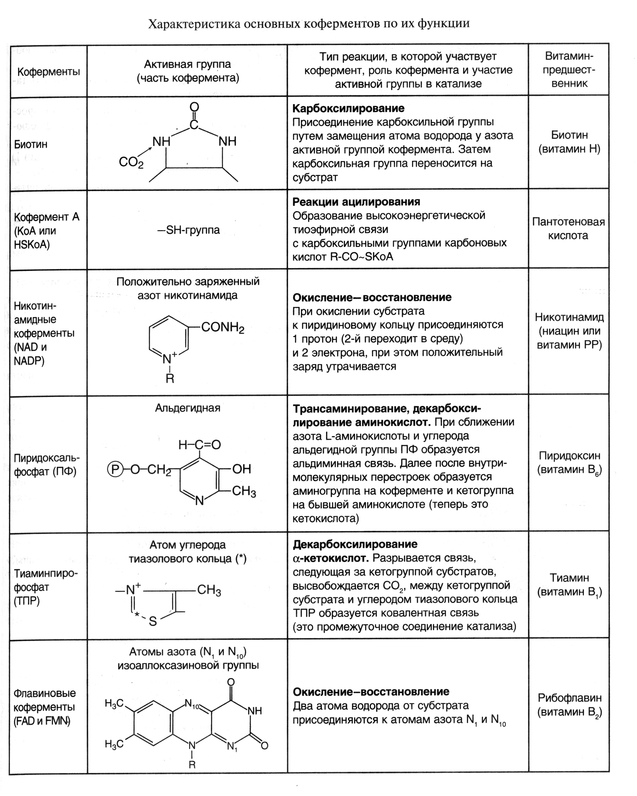 Ферменты примеры реакций. Коферменты таблица биохимия. Структура и функция основных коферментов таблица. Характеристика основных коферментов по их функциям по биохимия. Витамины коферменты биохимия таблица.