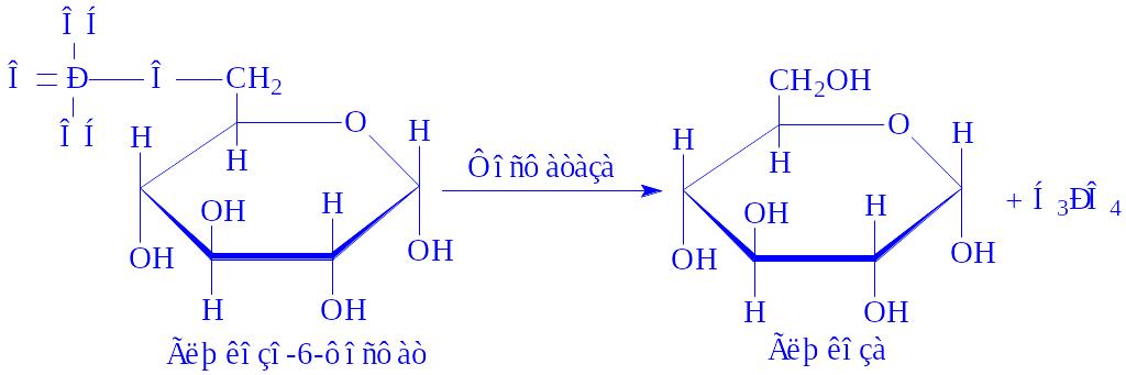 Фосфатаза класс. Глюкоза в глюкозо 6 фосфат. Глюкозо 6 фосфат формула. Глюкоза в глюкозо 1 фосфат. Глюкозо 6 фосфат фосфатаза.