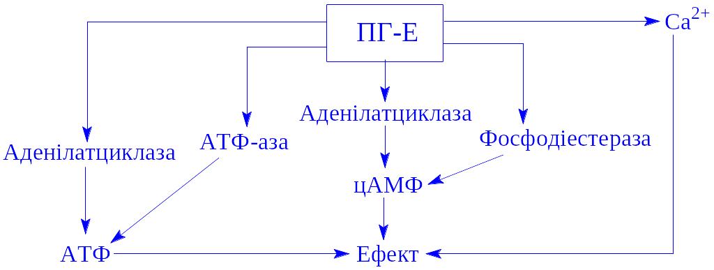 Гормоноїди