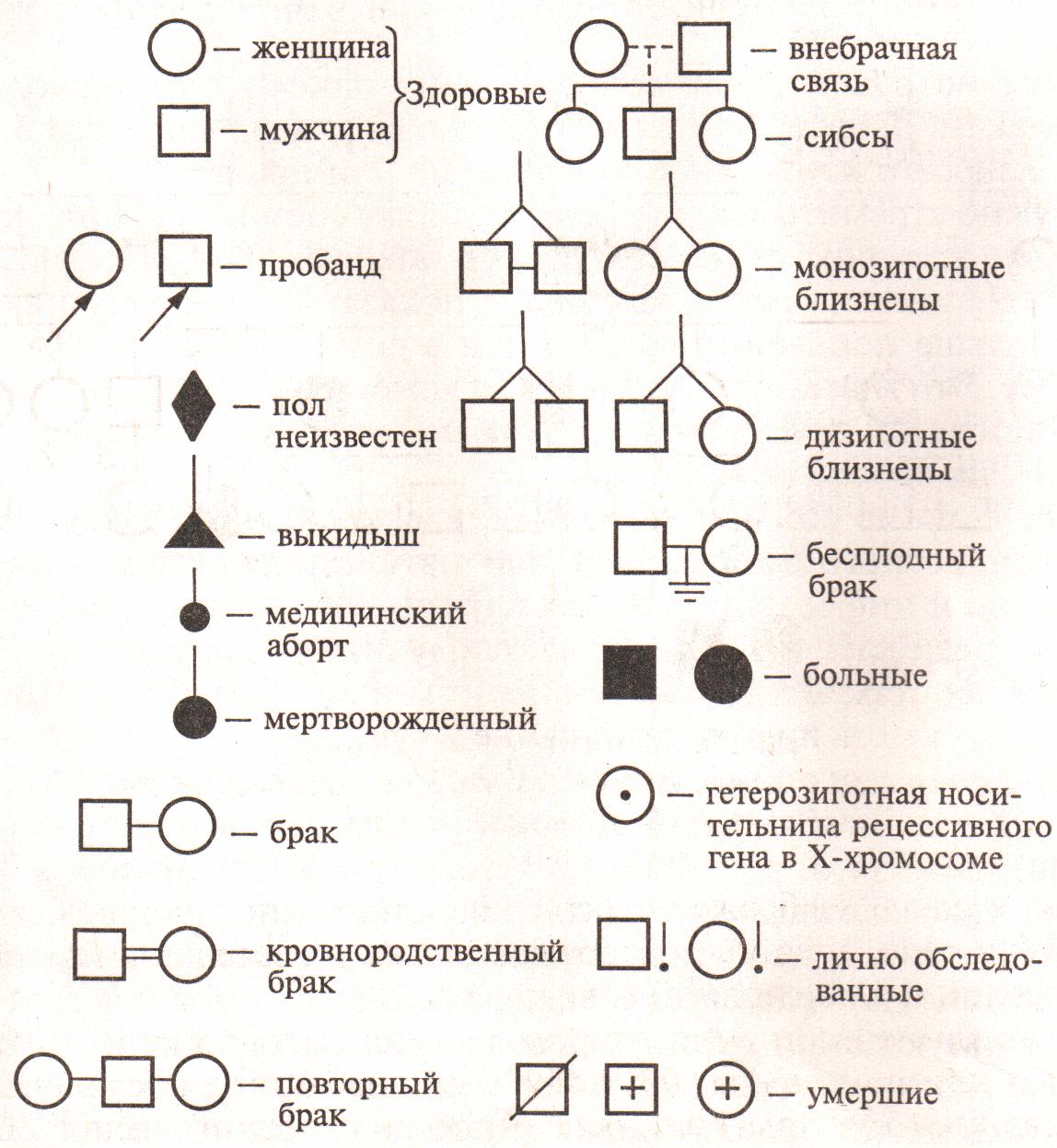 Родословная по цвету глаз