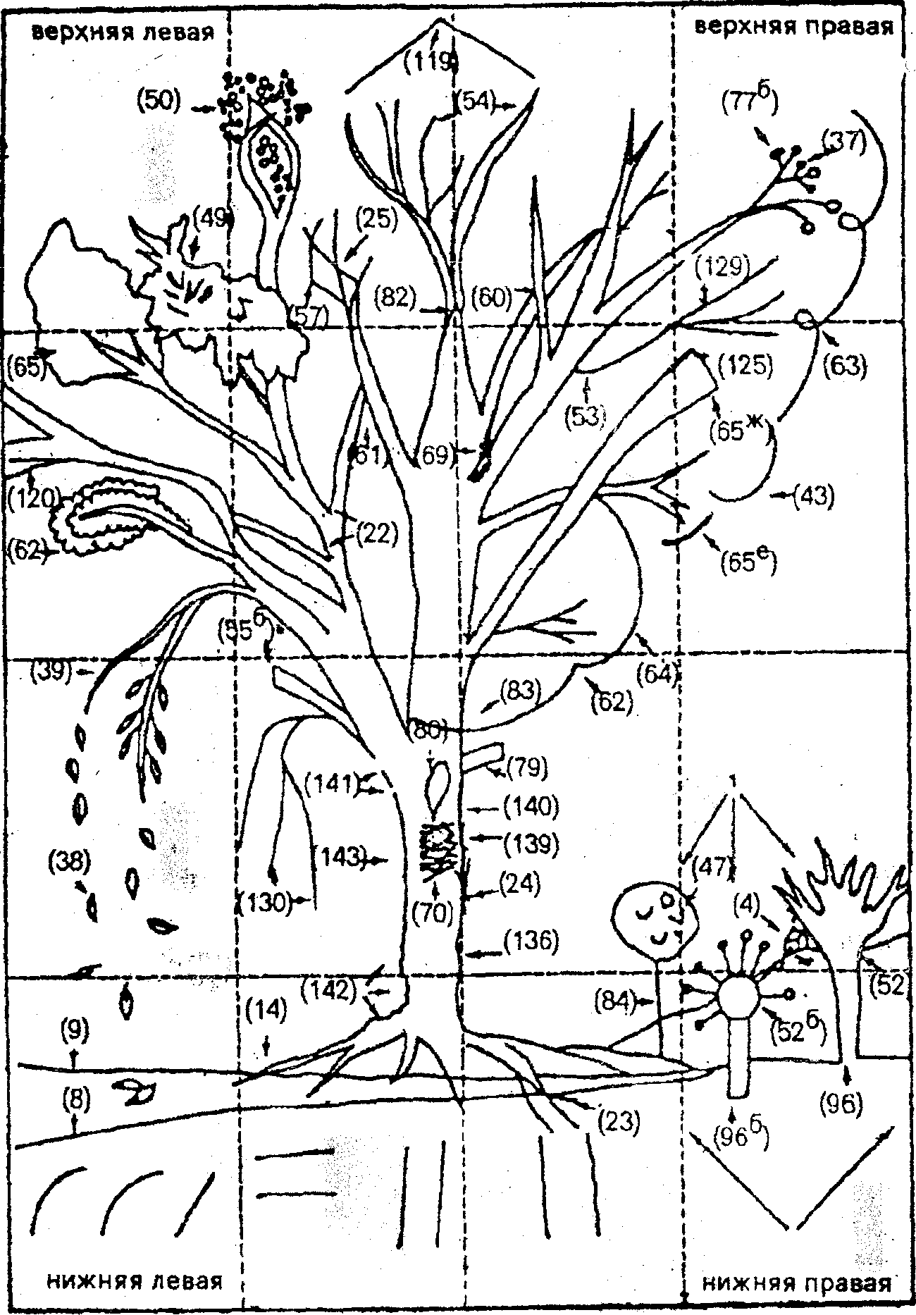 Тест 4 дерева. Методика дерево интерпретация. Интерпретация рисунка дерево. Рисунок дерева тест. Рисование дерева интерпретация.