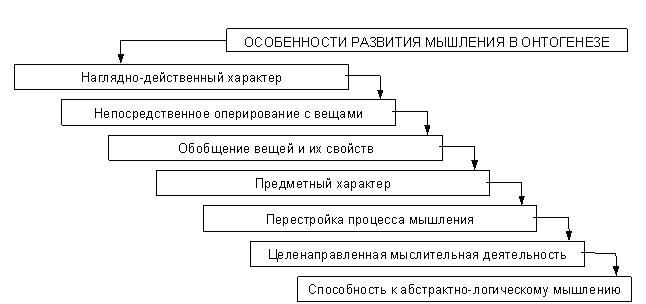 Память в онтогенезе. Последовательность стадий развития мышления в онтогенезе. Последовательность развития в онтогенезе видов мышления. Развитие мышления в онтогенезе психология. Схема развития речи и мышления в онтогенезе.