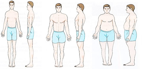 Эктоморф, мезоморф, эндоморф - как определить. Фото и примеры