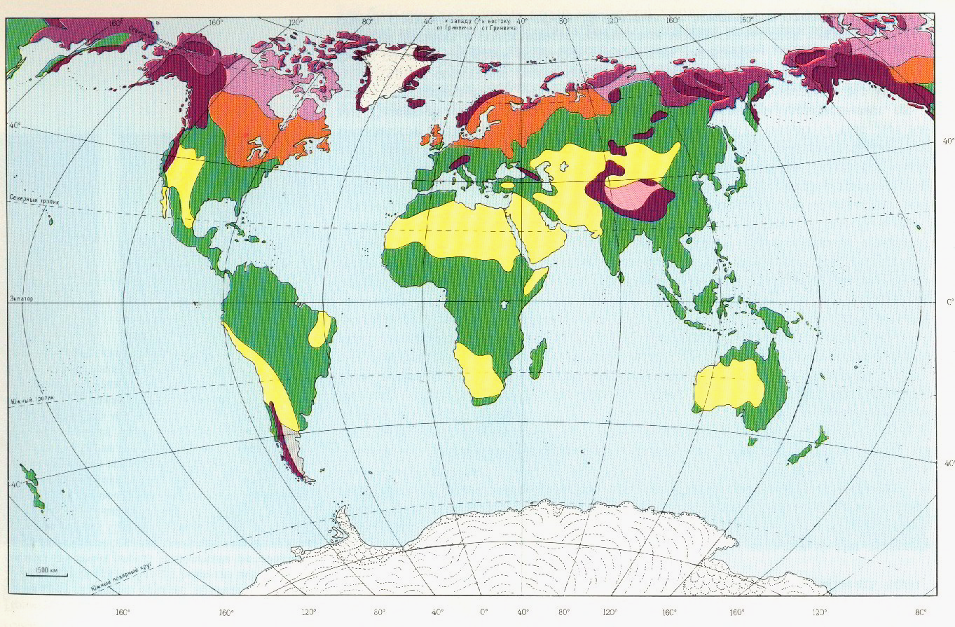 Районы распространения природных зон. Основные типы морфоскульптуры. Природные зоны земли.