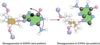 Aぇ!group DNA Imat 2011 q54 [dna components] - Past Papers Solutions