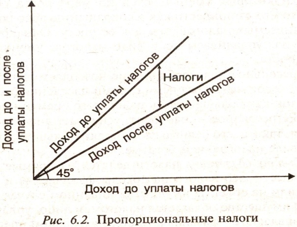 Прямая роста