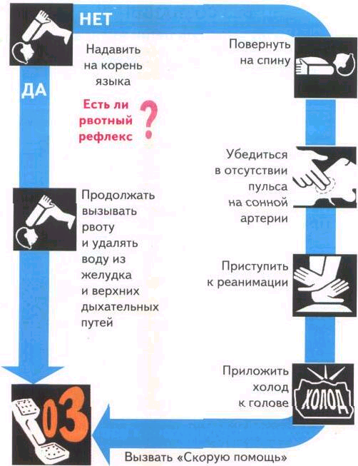 Мировое древо ашваттха. Лютик корень. Корневище хрена. Повернулся корень. Прикорневые побеги.