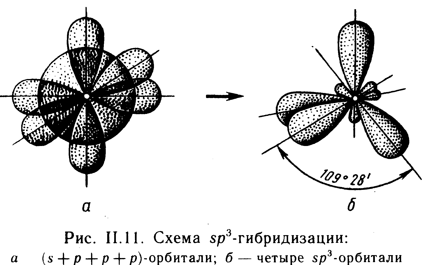 Стирол гибридизация атома. Гибридизация орбиталей (SP-, sp2 -, sp3 -). Схема перекрывания атомных орбиталей co2. Гибридизация валентных орбиталей. Sp3 гибридизация углерода.