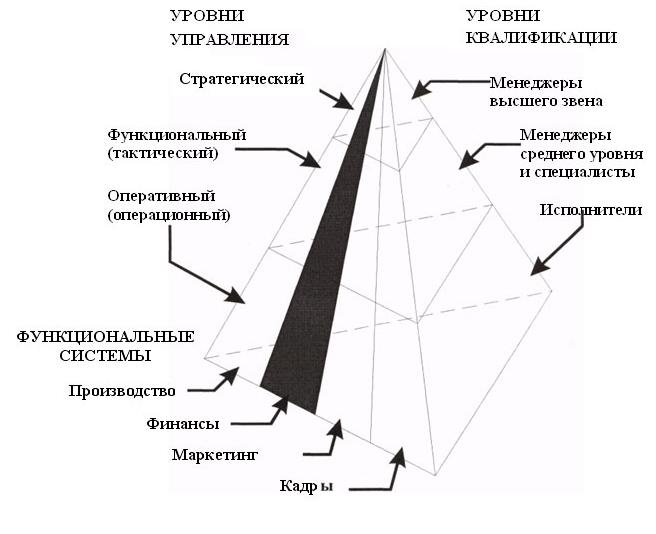 В зависимости от уровня управления. Классификация информационных систем по уровням управления. Классификация ИС по функциональному признаку и уровням управления. Типы информационных систем по уровню управления. Классификация информационных систем по уровню управления ИС.