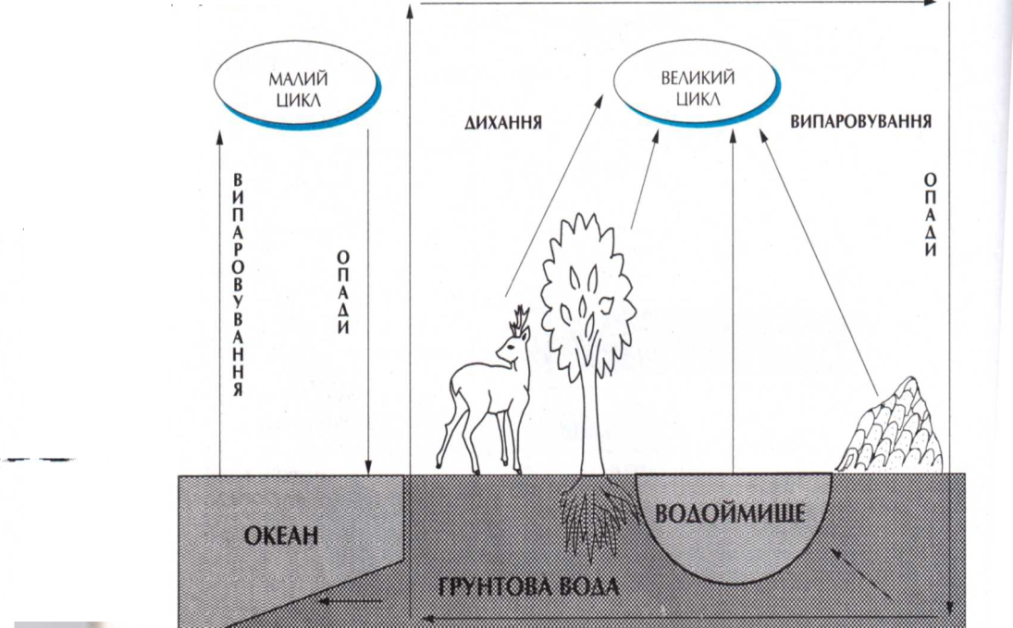 Колообіг води
