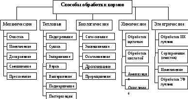 Механизация и подготовка кормов к скармливанию