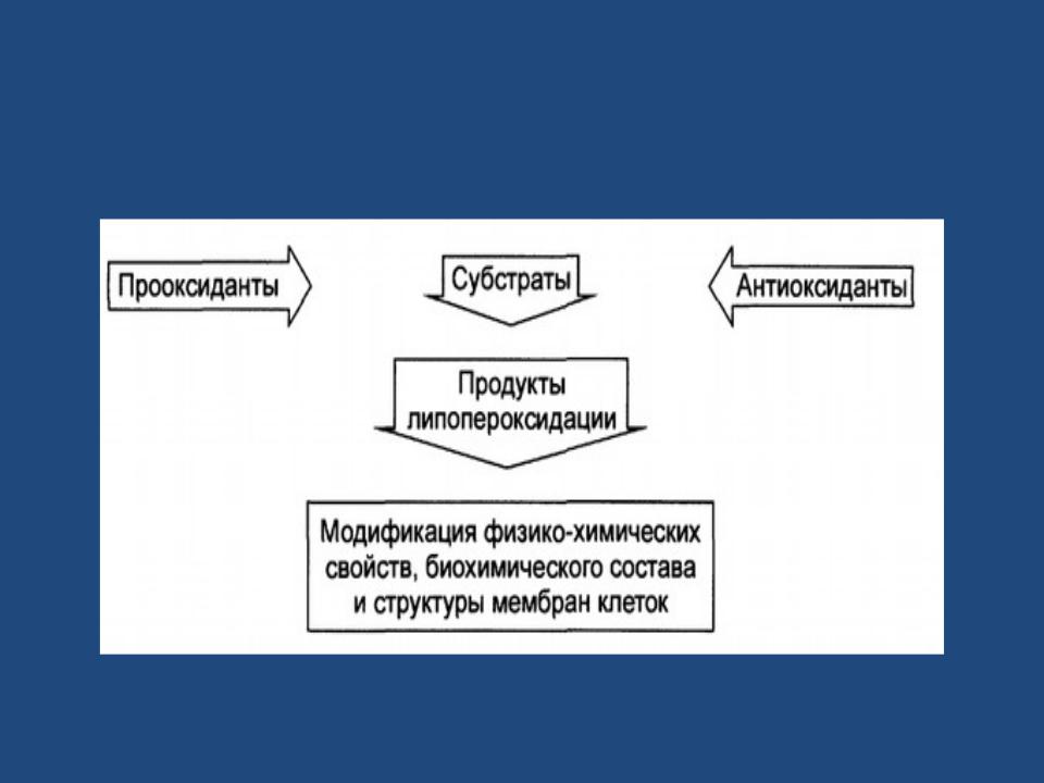 Перекисное окисление липидов и повреждение мембран Перекисное окисление липидов и повреждение мембран